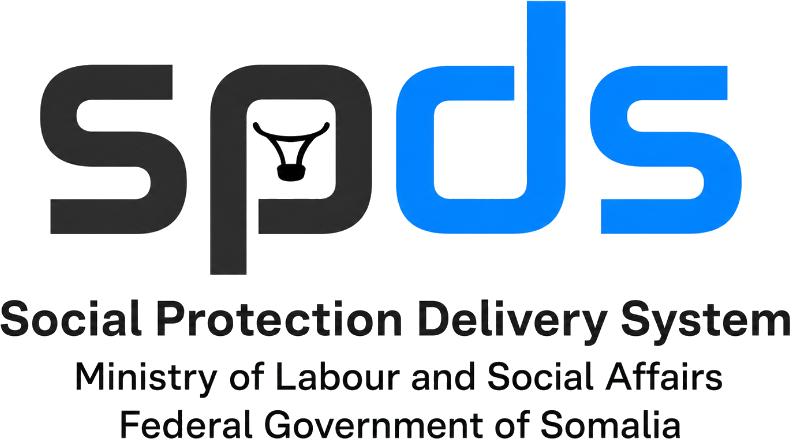 SPDS - Social Protection Delivery System